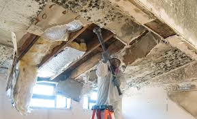 Best Water Damage & Mold Remediation  in Rome, NY